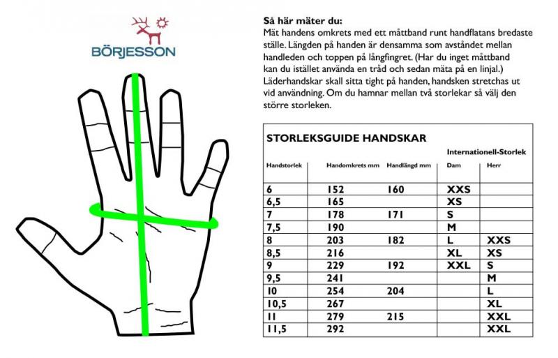 Damen Lederhandschuh | Lubin | Börjessons Handschuhe